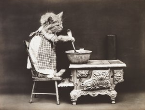 小猫系列：炉边的厨师，约 1914 年（银质印刷品）