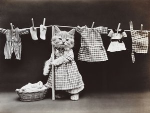 小猫系列：晾衣服，约 1914 年（银质印刷品）