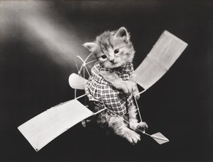 小猫系列飞行员驾驶飞机，约 1914 年（银质印刷品）
