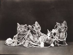 小猫系列：纱线缠绕》，约 1914 年（银质版画）