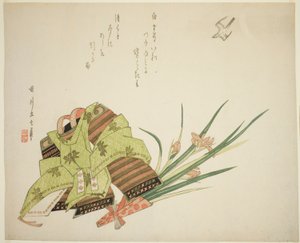 新月与飞翔的小杜鹃 作者 春川刚知