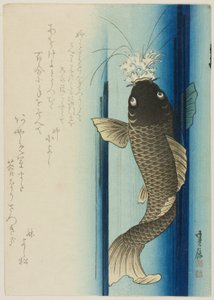 鲤鱼瀑布 作者 长谷川贞信