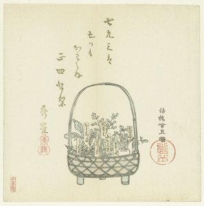 一篮嫩芽