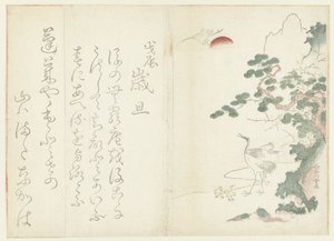 鹤的家族