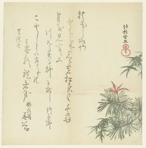 松树 作者 千之介（诗人）