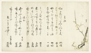 梅树 作者 北陆濑田