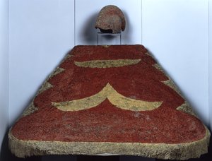 披风和羽毛帽子 作者 夏威夷学校