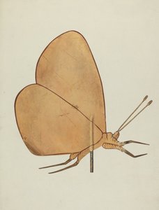 蝴蝶风向标，约1938年。 作者 淡褐色海德