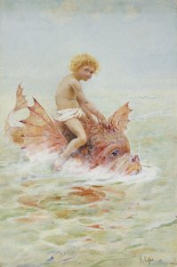 骑海怪
