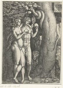 罪的堕落
亚当和夏娃的历史 作者 海因里希·阿尔德勒弗（Heinrich Aldegrever）