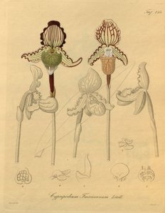 本文件来自生物多样性遗产图书馆，可通过以下网址在线获取：biodiversitylibrary.org/page/698329