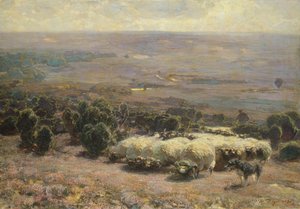 一群羊在Luneburger Heide，1902年 作者 海因里希·约翰·冯·祖格尔