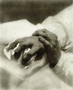 手的研究