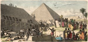 古埃及：建造金字塔，1866年 作者 海因里希·勒特曼