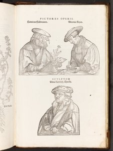 BT3.267.5 opp p896艺术家和雕刻师，来自De historia stirpium commentsarii insignes的插图作者：Leonhart Fuchs，1542