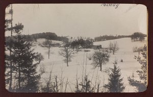 第一次世界大战：1914-1916 年德国军队入侵期间的“乌克兰”。 雪景（黑白照片）