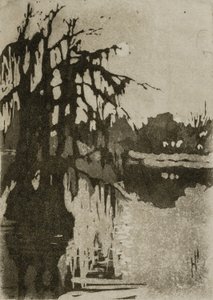 柏树 作者 海伦·海德（Helen Hyde）