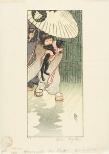 尊敬的猫先生