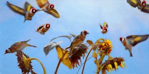 A Charm of Goldfinches, 2020 作者 海伦·怀特