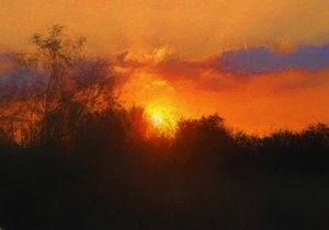 特纳一号之后，2018 作者 海伦·怀特