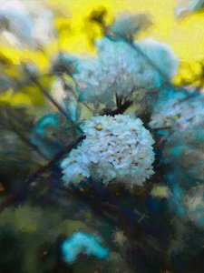 Blooming Maytime, 2019 作者 海伦·怀特