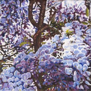 蓝色紫藤, 2012 作者 海伦·怀特
