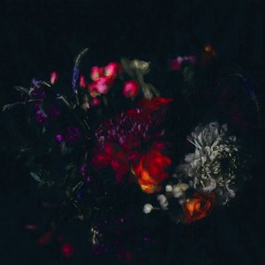 Dark Floral, 2019 作者 海伦·怀特