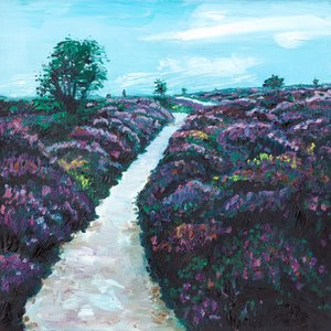 希斯兰石楠，2009 年 作者 海伦·怀特