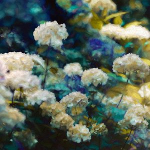 Heavenly Hydrangeas, 2020 作者 海伦·怀特
