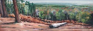 高岭，2009 年 作者 海伦·怀特