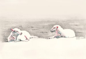 午睡，2016年，（铅笔画） 作者 海伦·怀特
