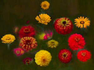 Outstanding Beauty, 2019 作者 海伦·怀特