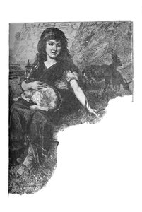 宠物小子c1900