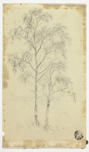 吉尔福德