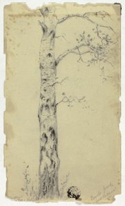 运河附近的摄政公园 作者 亨德里克·彼得·科克科克（Hendrik Pieter Koekkoek）