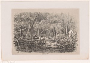 1860 年 5 月 28 日风暴过后，雅各巴兰上倒下的树木 Jacobalaan（物体上的标题） 十张石版画草图集，描绘了 1860 年 5 月 28 日风暴在格雷文哈格斯博斯 (Gravenhaagsche Bosch) 造成的破坏场景， 作者 亨德里克·威廉姆斯最后