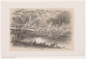 1860 年 5 月 28 日暴风雨后倒塌的树木
池塘（标题在实物上）
十幅石版画素描相册，展示了 1860 年 5 月 28 日暴风雨在海牙博世、席凡宁根等地造成的破坏场景。(