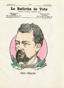 选票》第二辑，彩色讽刺画。施特劳斯-保罗--亨利-德马雷（1846-1888）的插图 作者 亨利·迪马雷