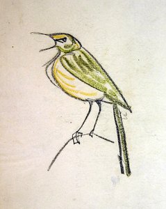 鸟类 作者 亨利·高第·布热斯卡