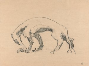 母狮的侧面 作者 亨利·高第·布热斯卡