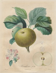 果树论文：夏季牧场，1808-1835年。