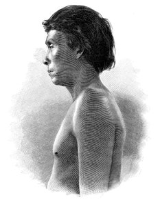Guatsu Indian，中美洲，c1890