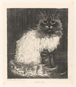 Bonte Angora（实物上的原标题）
