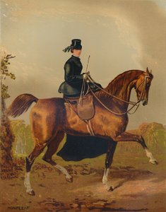 一匹女士马--已故彭布罗克伯爵的财产》，约1840年代，约1879年。 作者 亨利·达内西·蒙佩扎特