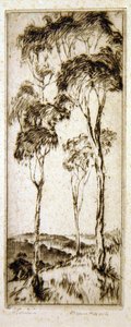桉树（蚀刻画） 作者 亨利·范·拉尔特