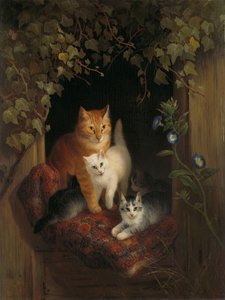 猫与小猫