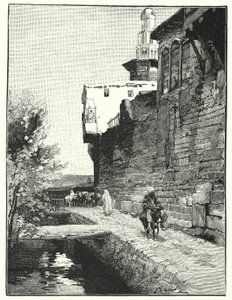 City wall of Damascus (litho)