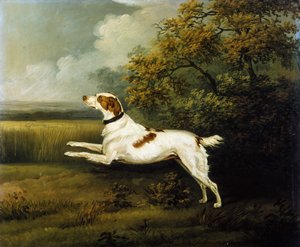 风景中的史宾格犬 作者 亨利·伯纳德·沙隆