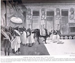坎比西斯杀死了神圣的公牛，这是“哈钦森国家历史”中的插图，c.1910 作者 亨利·查尔斯·塞普金斯·赖特