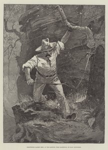 在办公室发现Banquet Reef，靠近Barberton，Cape Goldfields 作者 Henry Charles Seppings Wright